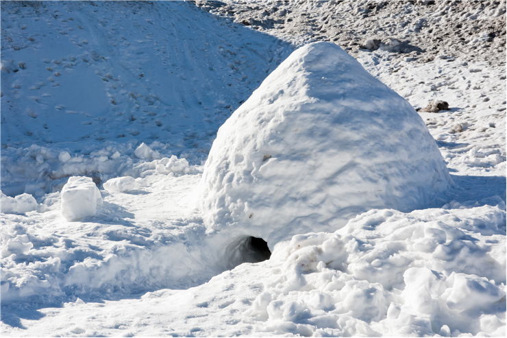 Picture Of Igloo