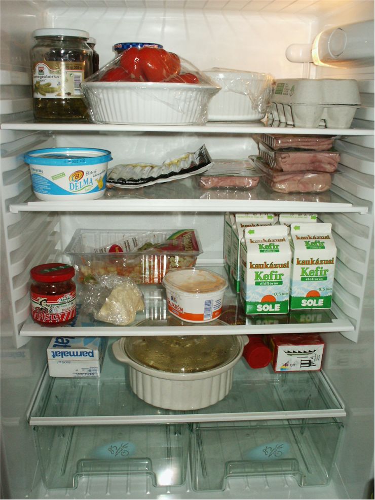 Picture Of Inside Refrigerator